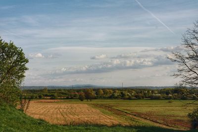 Scenic view of agricultural field against sky