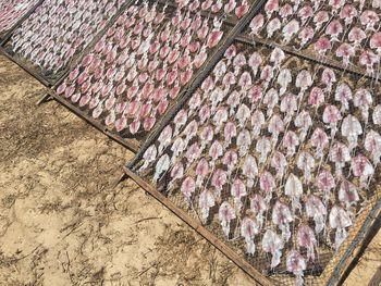 High angle view of clothes drying outdoors