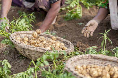 Midsection of man working in basket