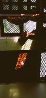 Low angle view of man standing in illuminated building