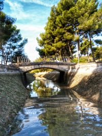 Bridge over river amidst trees against sky