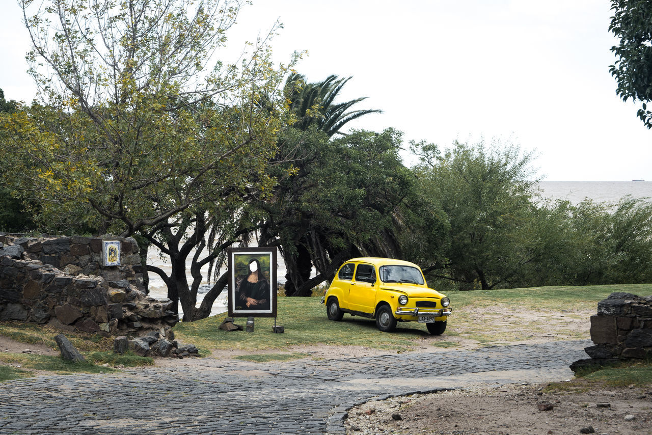 CAR ON ROAD