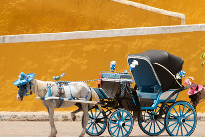 View of horse cart