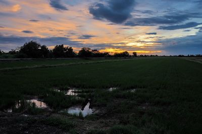 Scenic view of field against sky during sunset