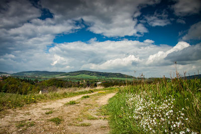 Scenic view of field against sky