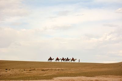 People riding on camels in desert against sky