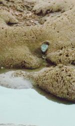 Rocks in sea