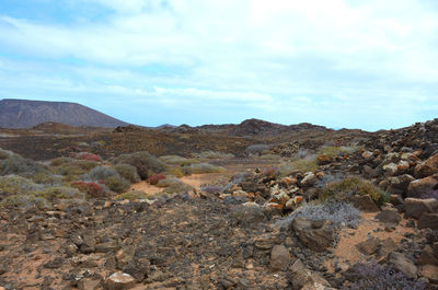 Scenic view of desert against sky