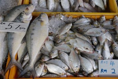 Close-up of fishes for sale at market