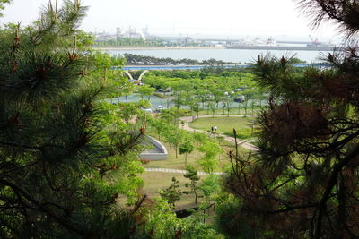High angle view of trees and plants against sky