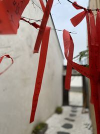 Close-up of red flags hanging outside temple