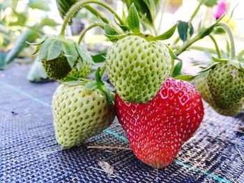 Close-up of strawberries on table