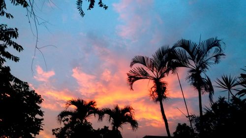 Low angle view of silhouette palm trees against sky