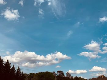 Low angle view of trees against blue sky