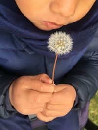 Midsection of baby boy blowing dandelion seed