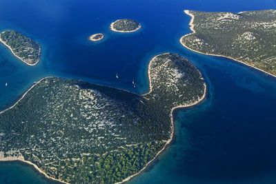 High angle view of turtle in sea