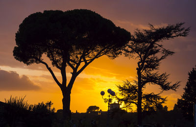 Silhouette tree against sky during sunset