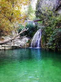 Scenic view of waterfall in forest