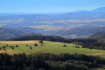 Scenic view of landscape against sky