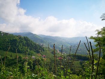 Nature reserve in turkey in the city of trabzon