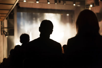 Rear view of silhouette people at music concert