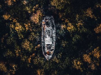 High angle view of trees during autumn