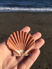 Person holding umbrella on beach