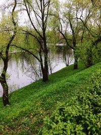 Scenic view of lake by trees against sky