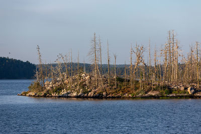 View of stockholm archipelago, sweden.