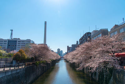 Canal amidst buildings against clear blue sky