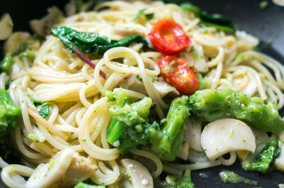 Close-up of salad