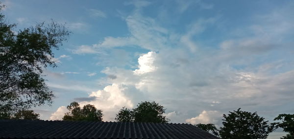 Low angle view of trees and building against sky