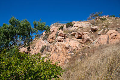 Plants growing on rocks against clear blue sky