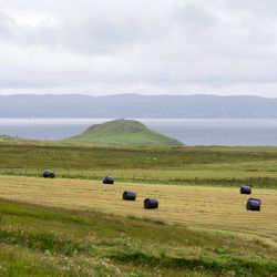 Scenic view of field by sea against sky