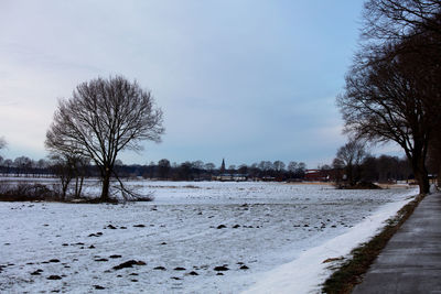 Bare trees on snowy field against sky during winter