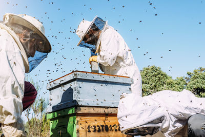 Low angle view of beekeepers working at farm