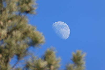 Low angle view of moon against blue sky
