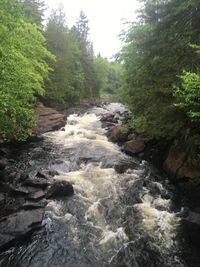 Stream flowing through rocks in forest