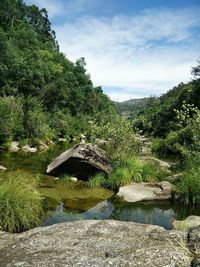 Scenic view of landscape against sky