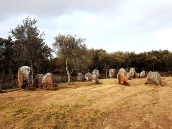 Hay bales on field against sky