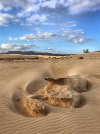 Scenic view of sandy beach