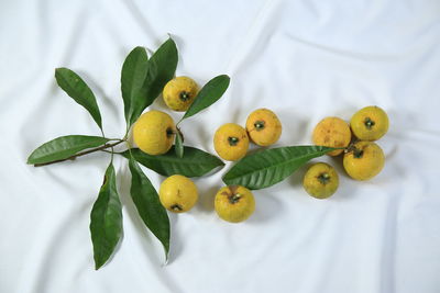 High angle view of fruits on plant