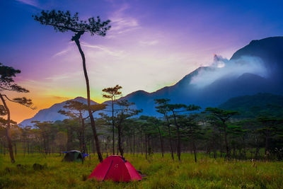 Scenic view of field against sky during sunset