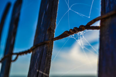 Low angle view of against blue sky