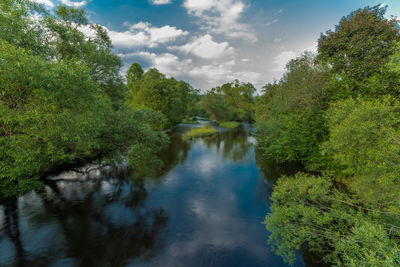 Scenic view of lake amidst trees against sky