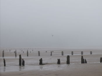 Scenic view of beach against clear sky
