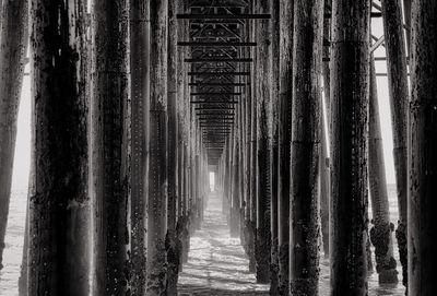 Wooden pier columns and water at beach