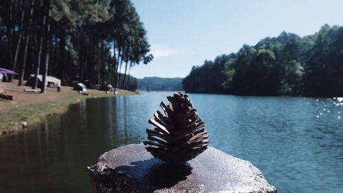 Rocks in lake