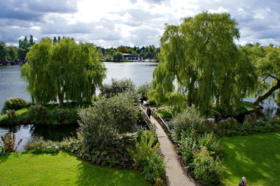 Trees growing on lakeshore against sky