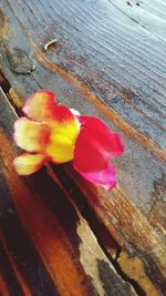 Close-up of flower against water